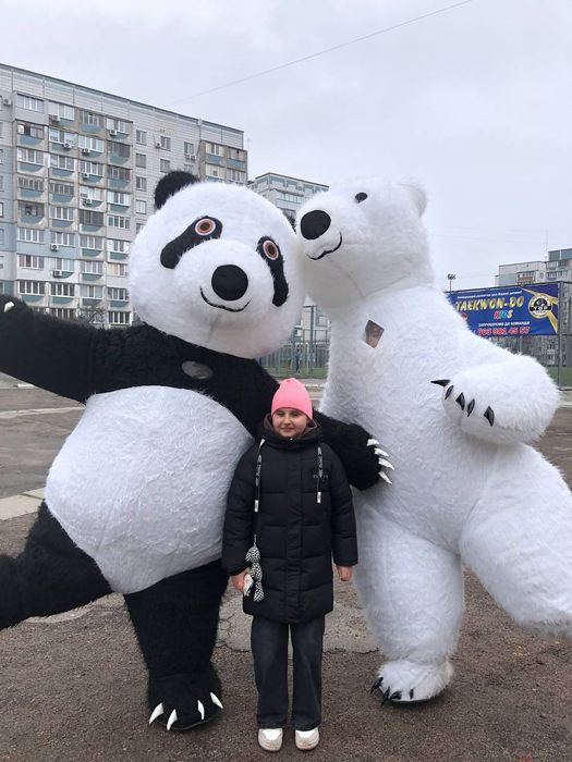 Заказ белого медведя-панды, мишка на праздник. Аниматор