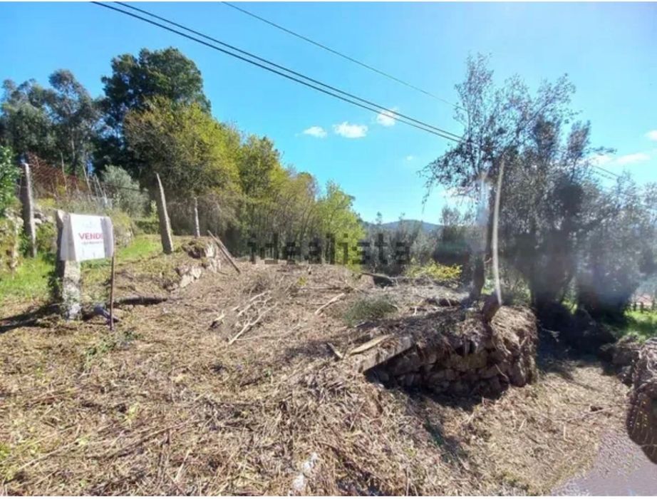 Terreno com Ruína Ponte de Lima