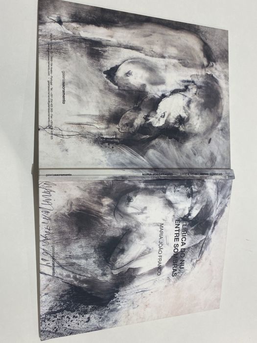 Livro de Arte da Artista Maria João Franco