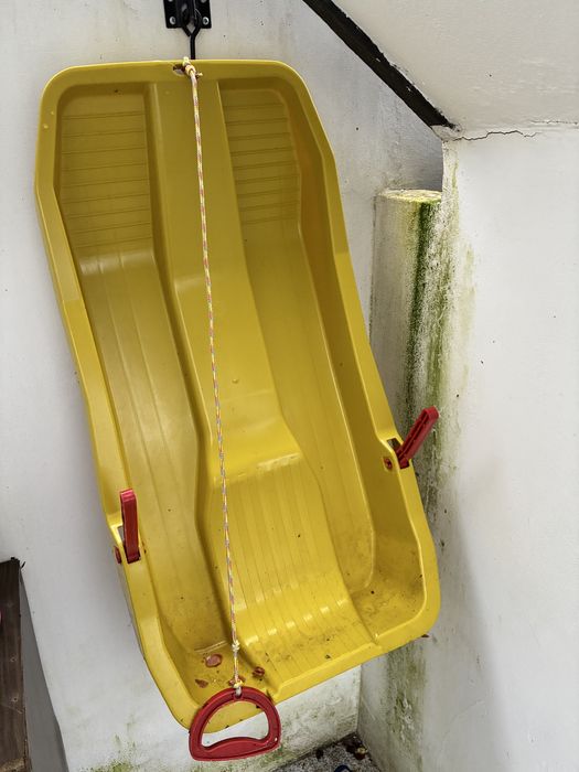 Trenó, eski de brincar na neve