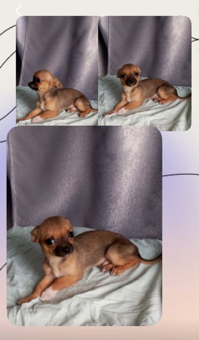 Хлопчик 5500 гр., терміново