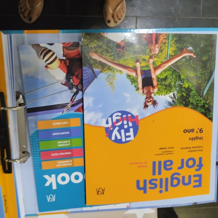 Dossiês do professor do 9° ano com manual do professor e caderno de atividades ano de inglês