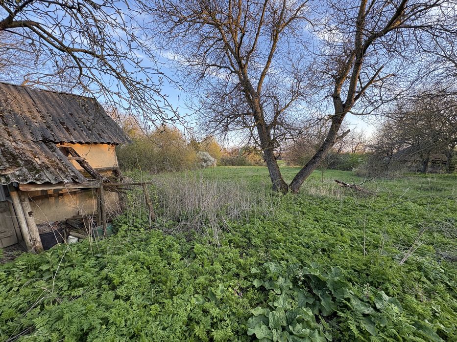 Продається хата будинок  с. Більськ