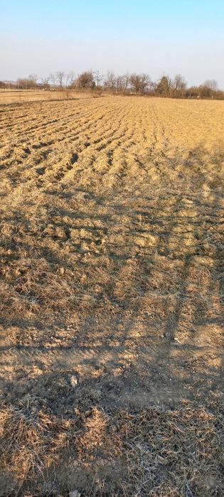 Земельна ділянка