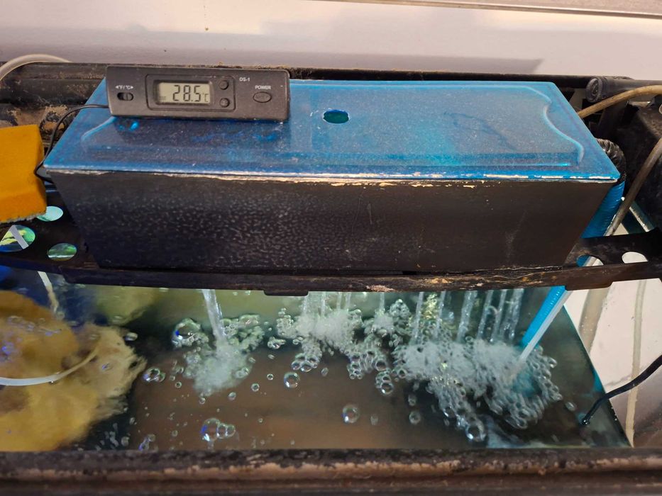 AQUÁRIO DE 250 L - Kit Completo