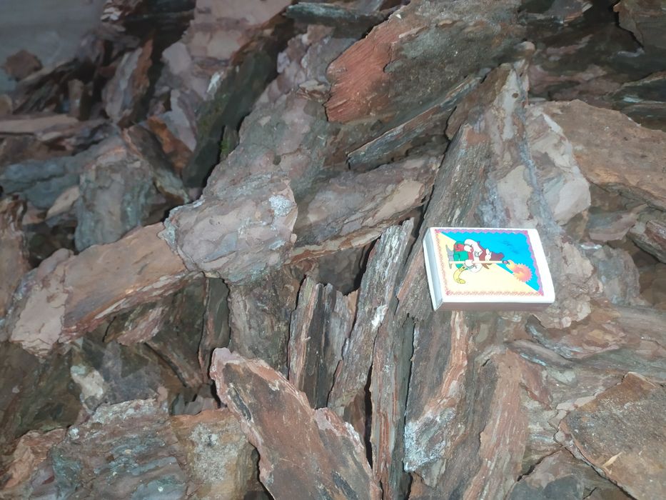 Кора соснова в Обухові