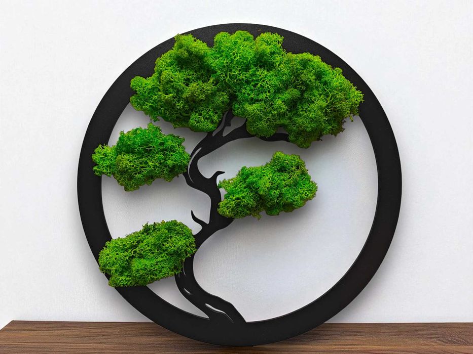 Żywy obraz z mchu chrobotka PREZENT Bonsai Obraz  Ozdoba na ścianę