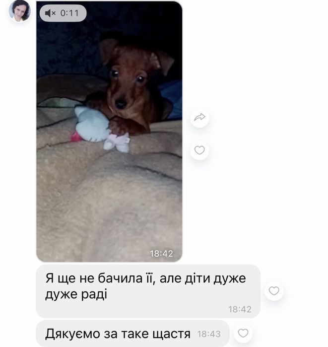 Маленькі красунчики