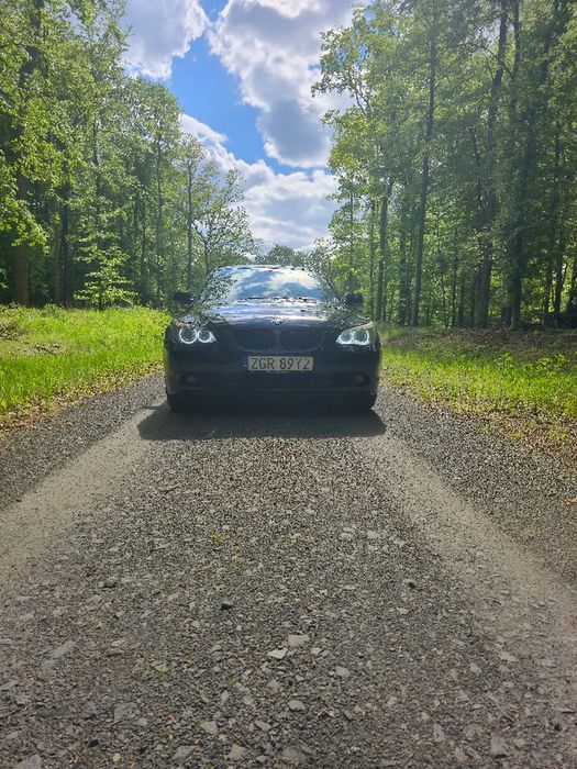 BMW Seria 5 BMW E60 525I