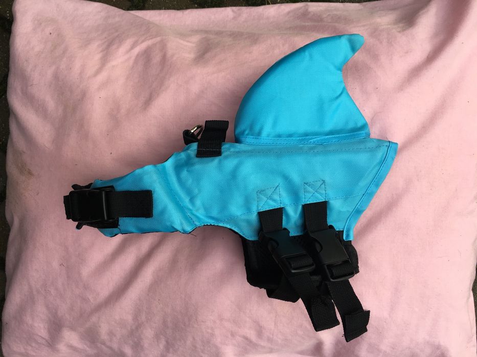 Одяг для тваринок