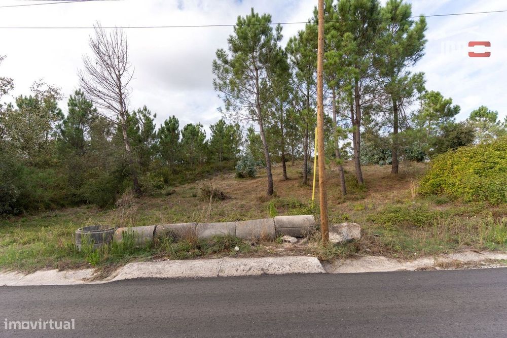 Terreno Rústico com Viabilidade de Construção em Juncal
