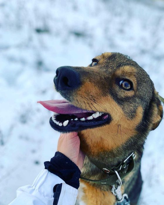 Две невероятных девочки ищут самых лучших родителей!