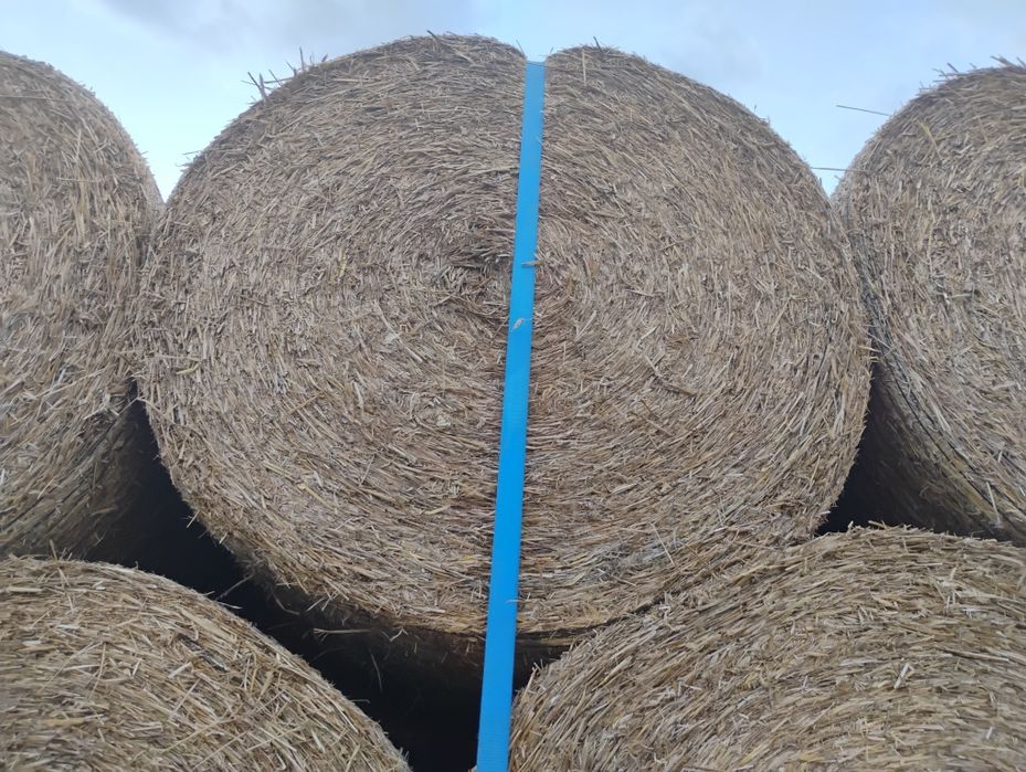 Sloma w belach 160 cm 2000 szt  Giżycko