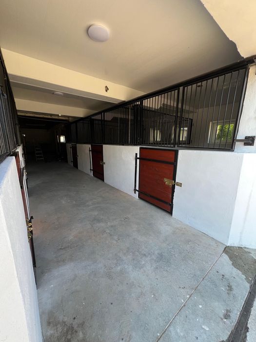 Do wynajęcia stajnia 6 boksów 3.5 ha wybieg