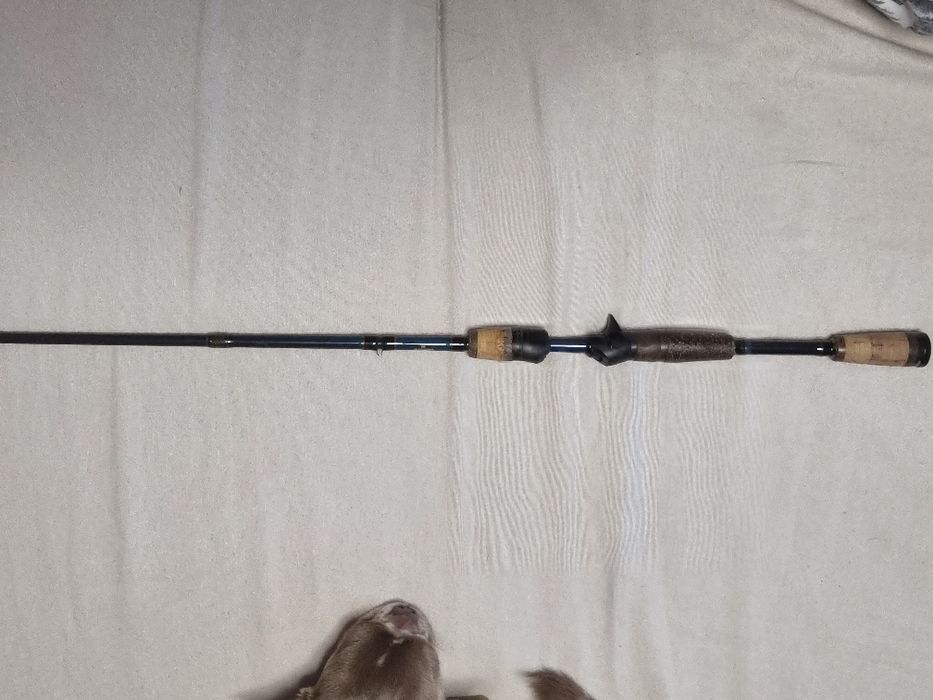 Wędka Fenwick Aetos