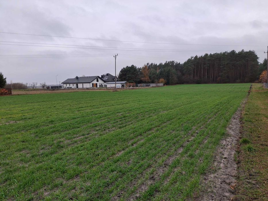 Na sprzedaż działka budowlana w Łąkach przy ul. Runa Leśnego - Widok 5