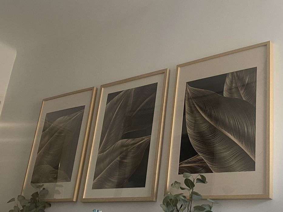 Trzy piekne grafiki obrazy ramy do pięknego salonu