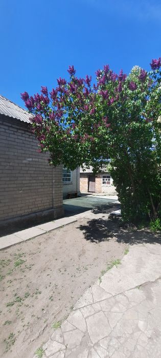 Вигідна пропозиція, Дніпрошосе