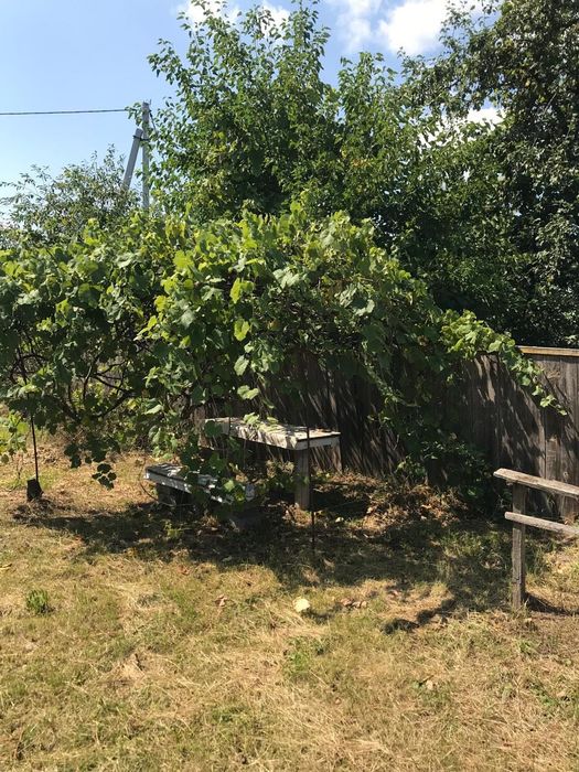 Продам будинок село Мокрець