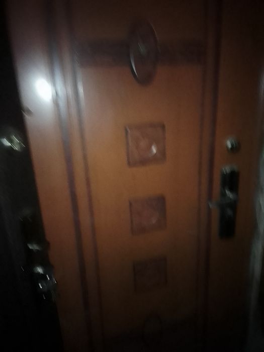 Дверь входная, металлическая.
