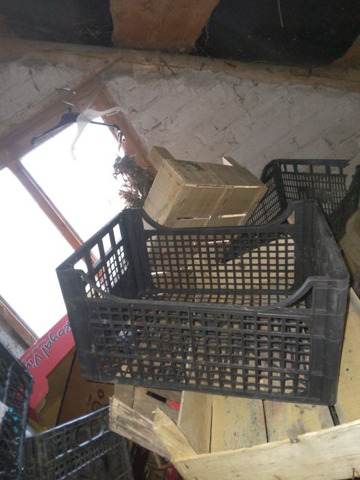 Ящики картон пластик шпон