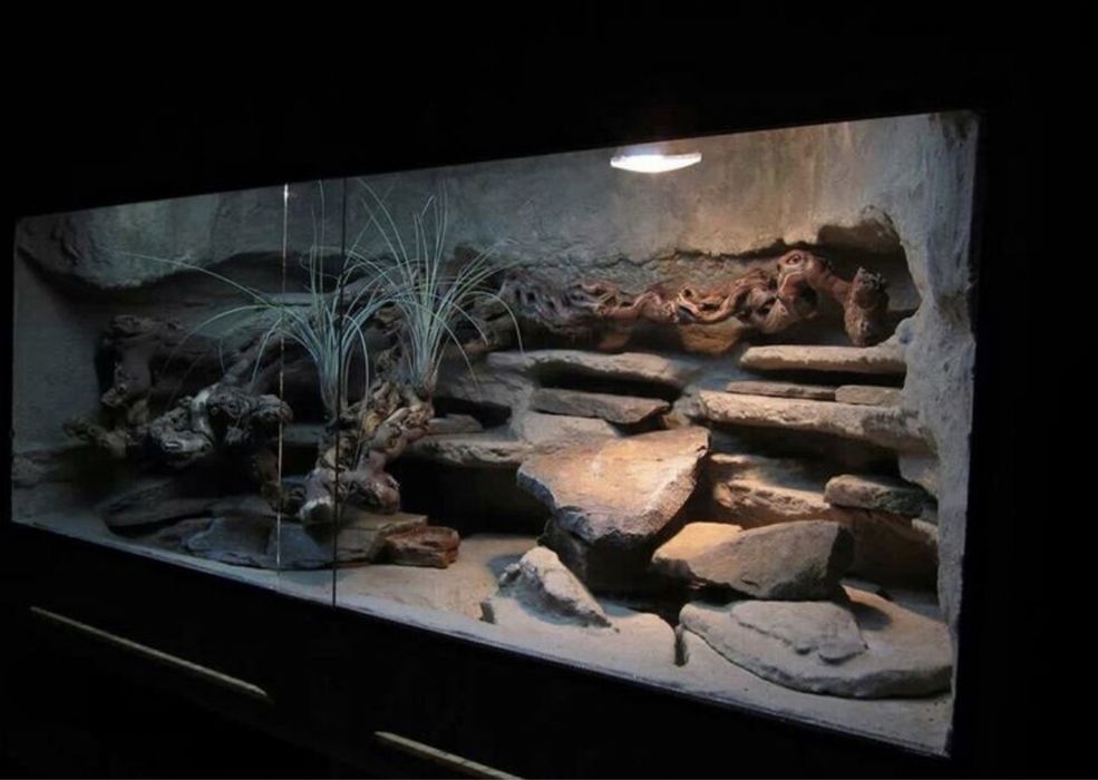 Terrarium na zamowienie