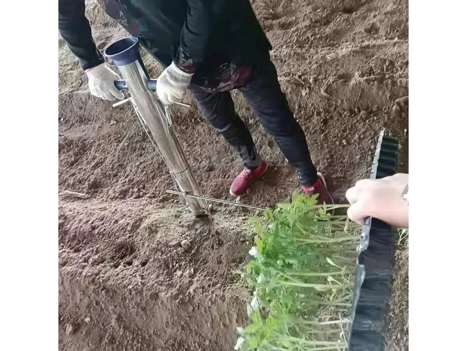 Ручная сажалка для рассады.