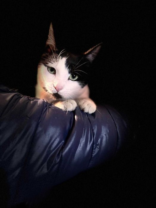 kto mnie przygarnie?