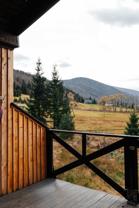 панорамний котедж в Карпатах, чан на дровах, джакузі, караоке Ст.Гута