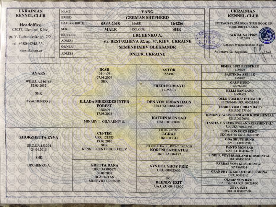 Кобель немецкой овчарки для вязки вязка собак Днепр: 1 000 грн. - В ...