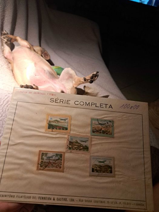 Colecção selos novos