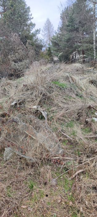 Oddam ziemię około 4 aut za Darmo