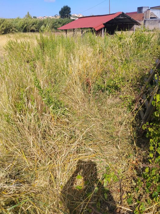 Limpeza de Terrenos