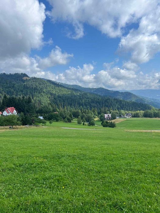 Działka 2480 m² | Piwniczna-Zdrój | Sucha Dolina | wyjątkowy widok - Widok 3
