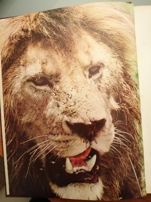 A Fauna Vida e Costumes dos Animais Selvagens Publicações Alfa África*