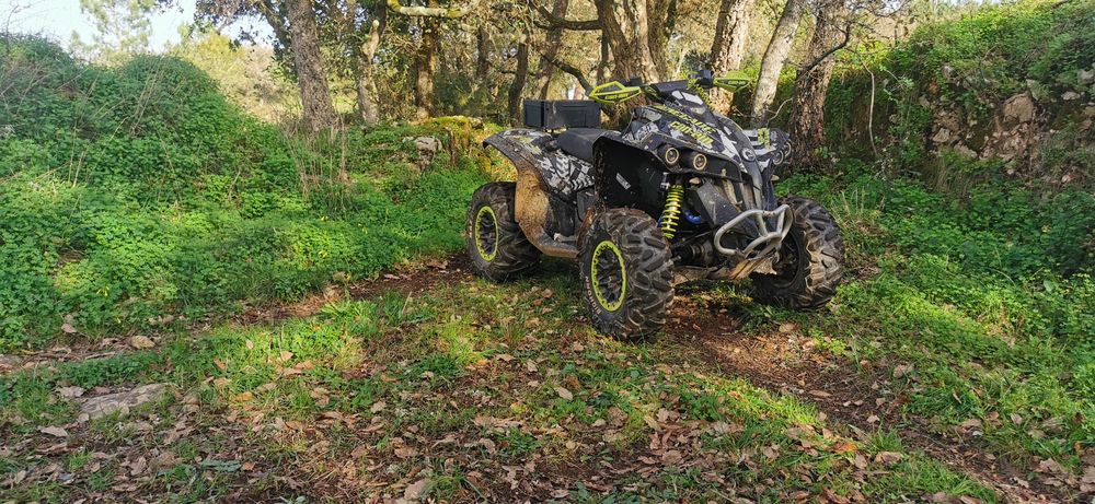 Can am renegade 1000 R