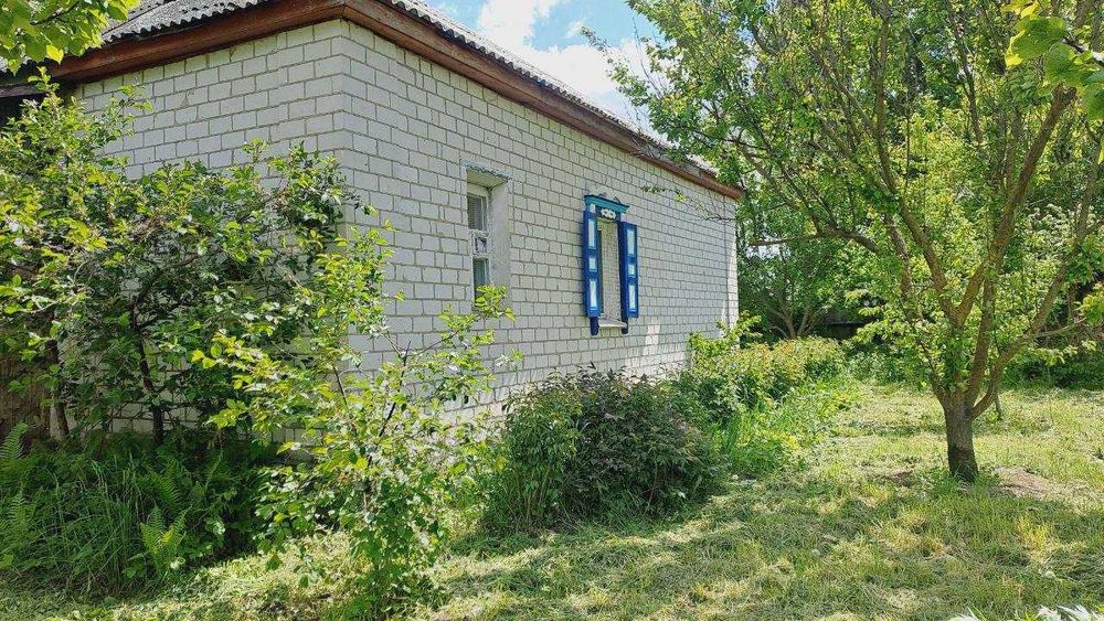 Продається  будинок село Курінь, Чернігівська область