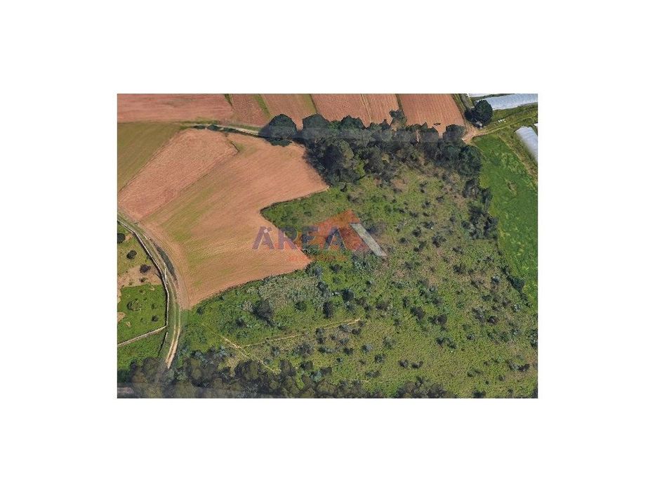 Terreno agrícola e florestal - São Martinho da Gândara, Oliveira de... — São Martinho da Gândara, Aveiro