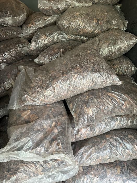 Кора соснова 50 л