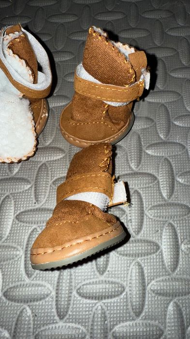 Чобітки для собак