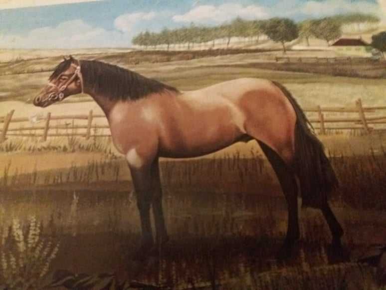 Seregrafia - Cavalo - Publicidade ao Dolviran - Antiga - Impecável