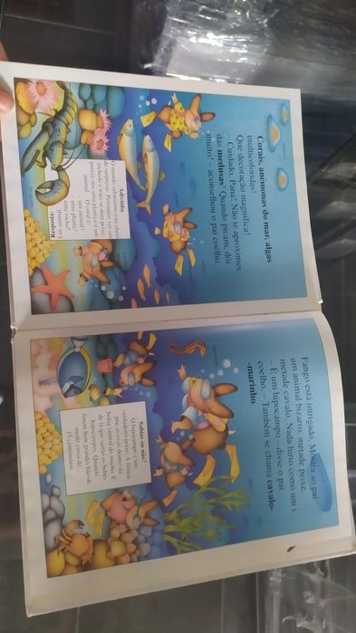 Livro os coelhinhos descobrem o mar