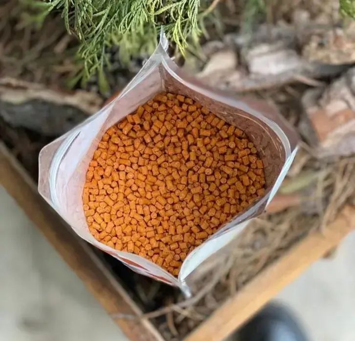 пелець закормачний