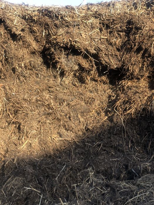 Composted horse manure without shavings! With loading machine!64285475799811121