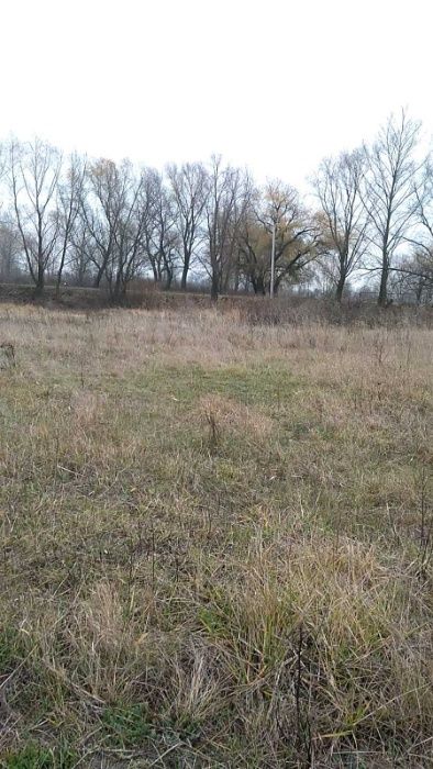 Продаётся участок под застройку в селе Веселиновка, Барышевский р-н.