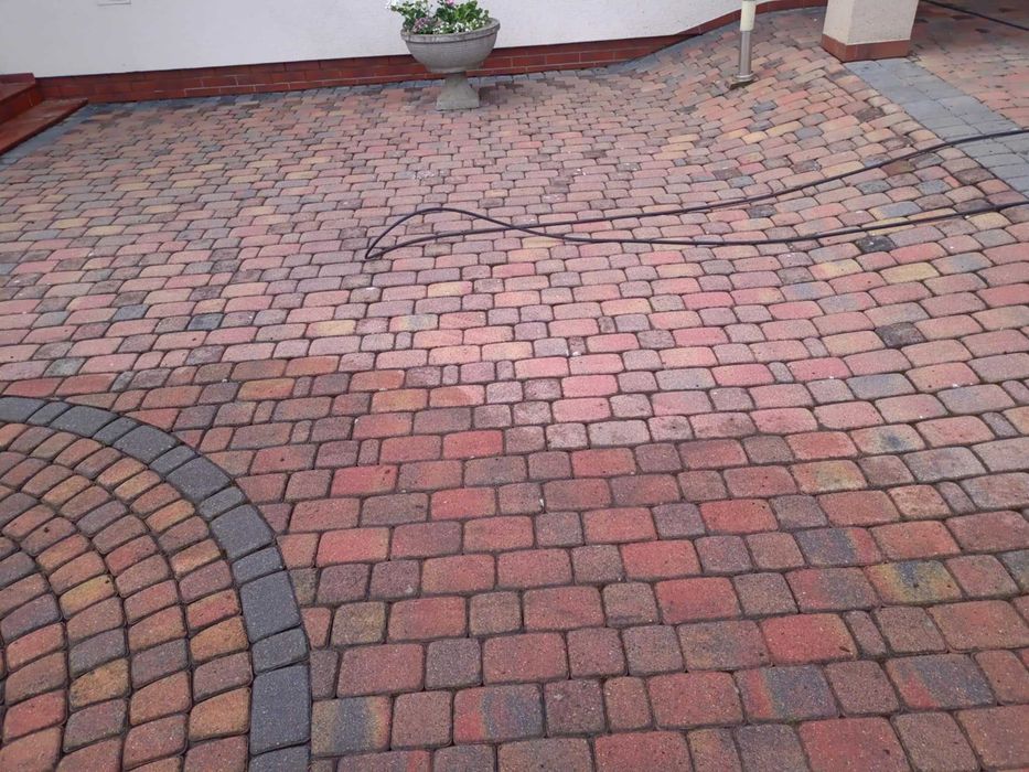 Usługi ogrodnicze - Przycinanie drzew/Opryski owadobójcze i inne