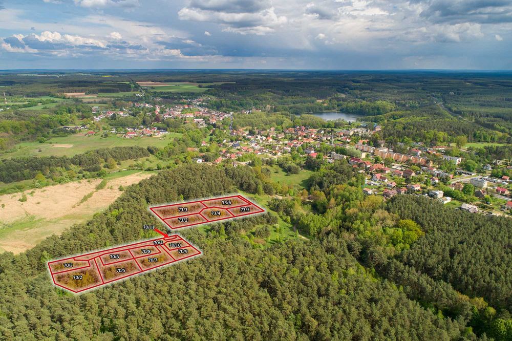 Torzym Młyńska Ostoja