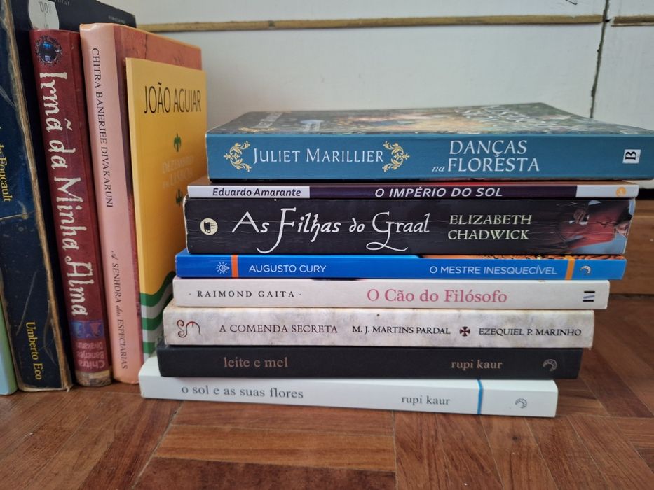 Conjunto de livros variados