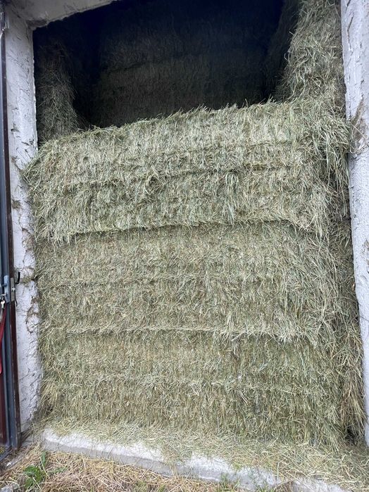 SIANO , SŁOMA    -suche, magazynowane, TRANSPORT W CENIE