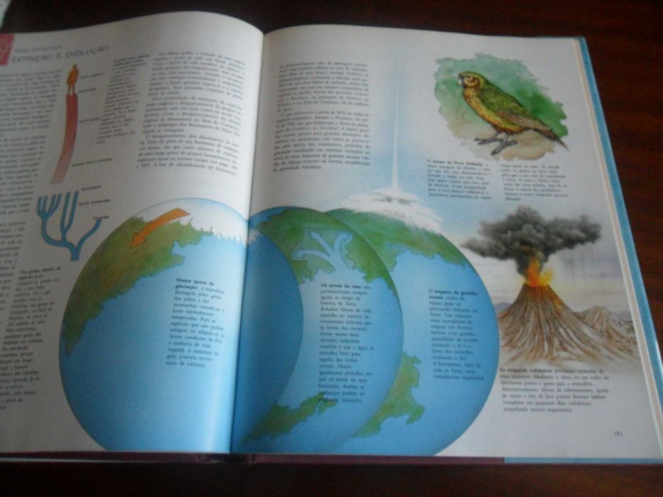 "História Natural da Evolução" de Philipe Whitfield - 1ª Edição 1994